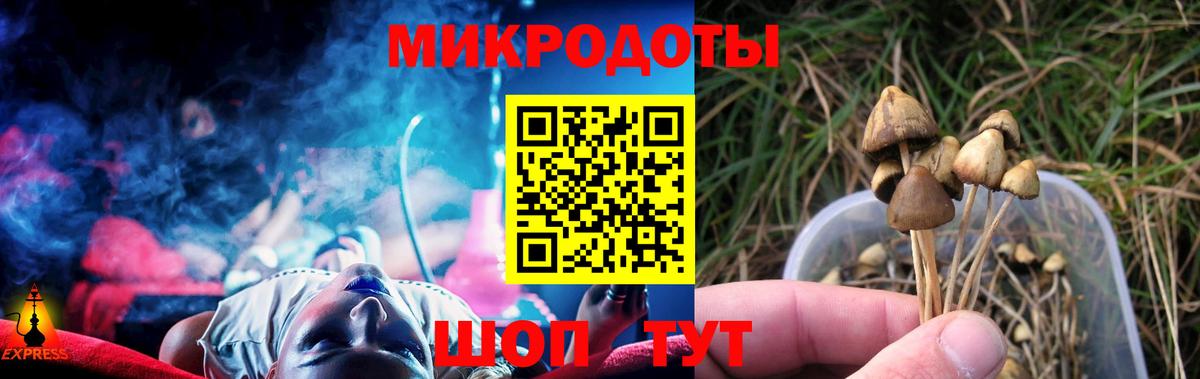 Бугуруслан  Псилоцибиновые грибы мицелий  Вход с VPN 
