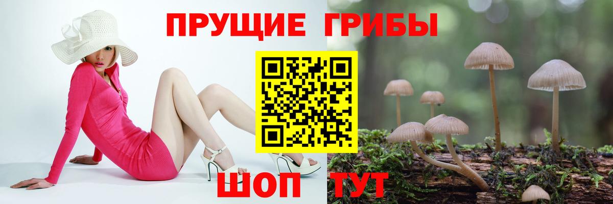 Галлюциногенные грибы MAGIC MUSHROOMS Бугуруслан